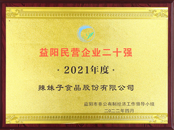 益阳民营企业二十强2021年度