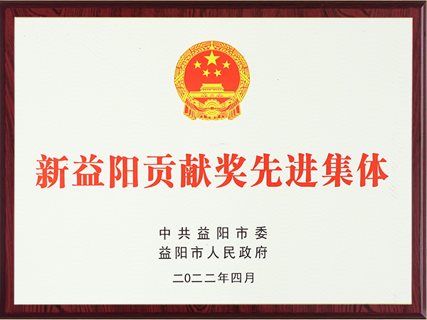 新益阳贡献奖先进集体2022年